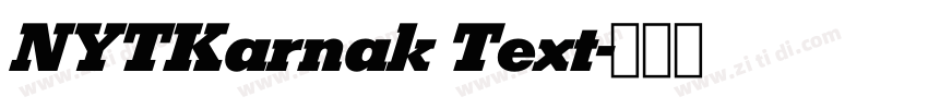NYTKarnak Text字体转换